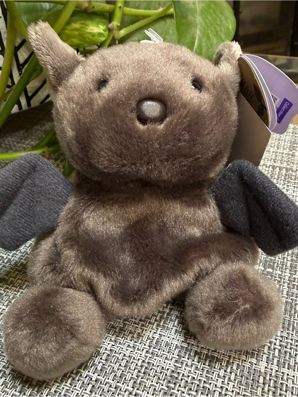 Luna Palm Pals Plush Bat Small Toy🦇Grey Brown Stuffy Fidget or Collectable